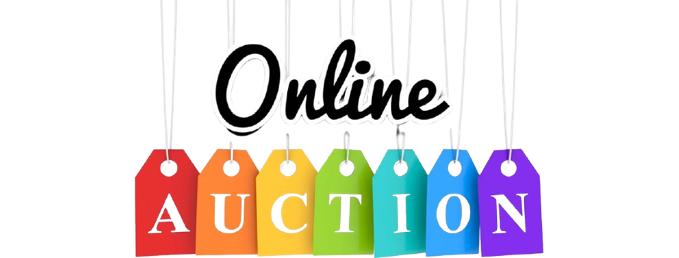 Help solicit donations for our annual End-of-Season Auction